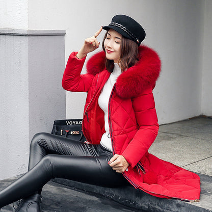 Winter Women's Clothing Korean Style Cotton-padded Over knee Lengthened Jacket CJWY1912078