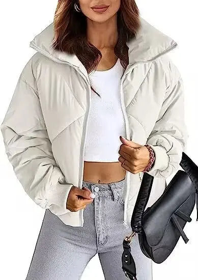 Long Sleeve Zipper Winter Quilted Short Cotton Jacket CJWY1912078